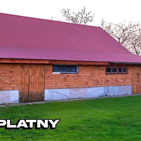 Agroturystyka Nielisz Zamosc - Kwatery Przy Skansenie מראה חיצוני תמונה